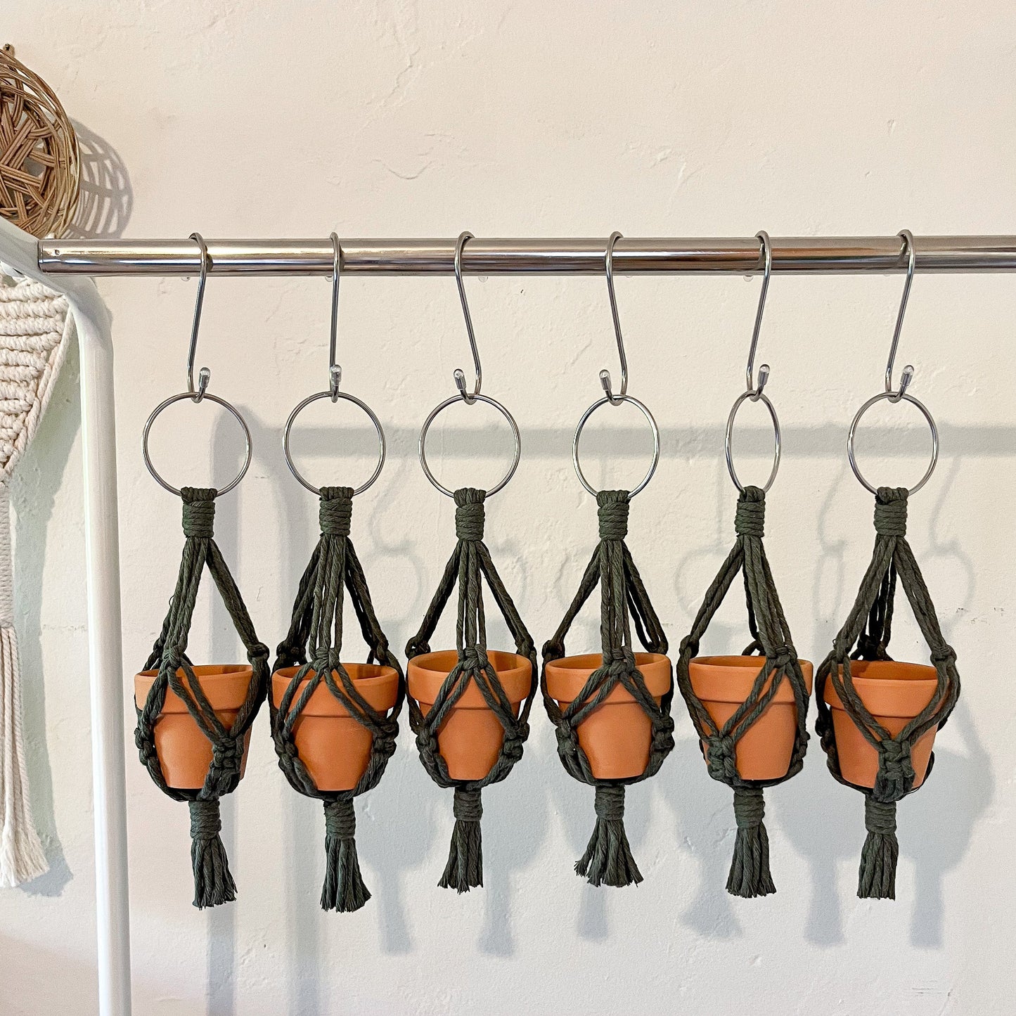Mini Plant Hanger