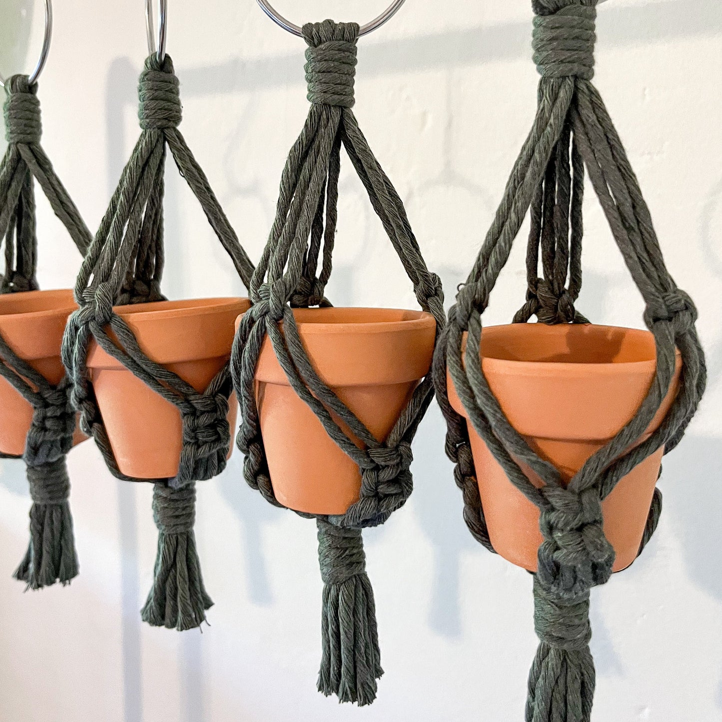 Mini Plant Hanger